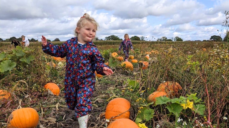 Children walking through the pumpkin patch at the Farm at Tatton Park, Cheshire